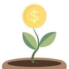 Money plant
